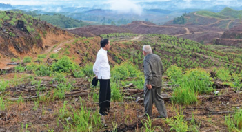 Ein Projekt von Indonesiens Präsident Joko «Jokowi» Widodo. Im Dschungel von Borneo soll die neue Hauptstadt Indonesiens entstehen – möglichst ökologisch, mit autonomem öffen tlichem Verkehr (thejakarta post.com).