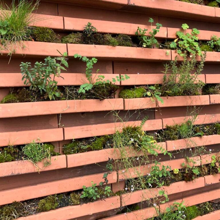 Mehr Leben an der Fassade und ein besseres Stadtklima: das Forschungsprojekt “Greenbrick” eröffnet neue Perspektiven. (Foto: Zürcher Ziegeleien AG)