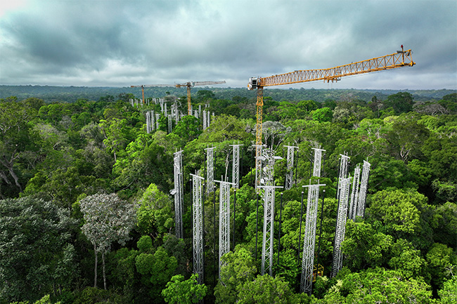 Im Rahmen eines internationalen Klimaforschungsprogramms untersuchen Wissenschaftler mit vier Liebherr-Turmkranen Regenwald von oberhalb des Baumkronendachs. (Foto: Liebherr)