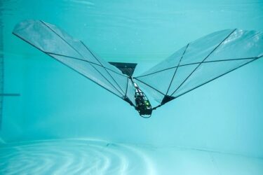 Der Roboter bewegt sich mit schlagenden Flügeln unter Wasser und kann anschliessend wieder in die Luft abheben. (Foto: pd)