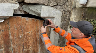 In diesem Fachvortrag erfahren die Teilnehmenden, weshalb eine umfassende Beweissicherung unerlässlich ist. (Foto: pd)
